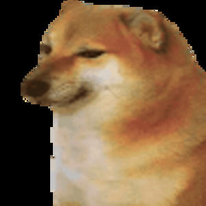 Meet your Posher, Isabella